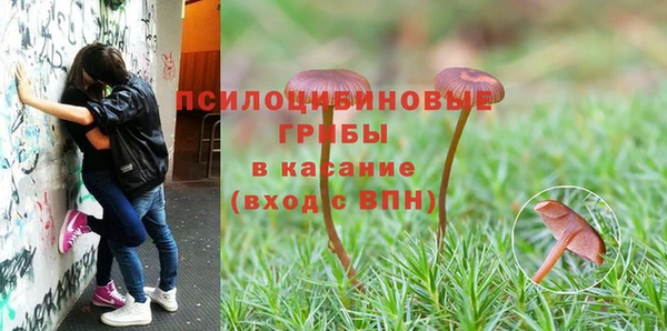 трава Зерноград